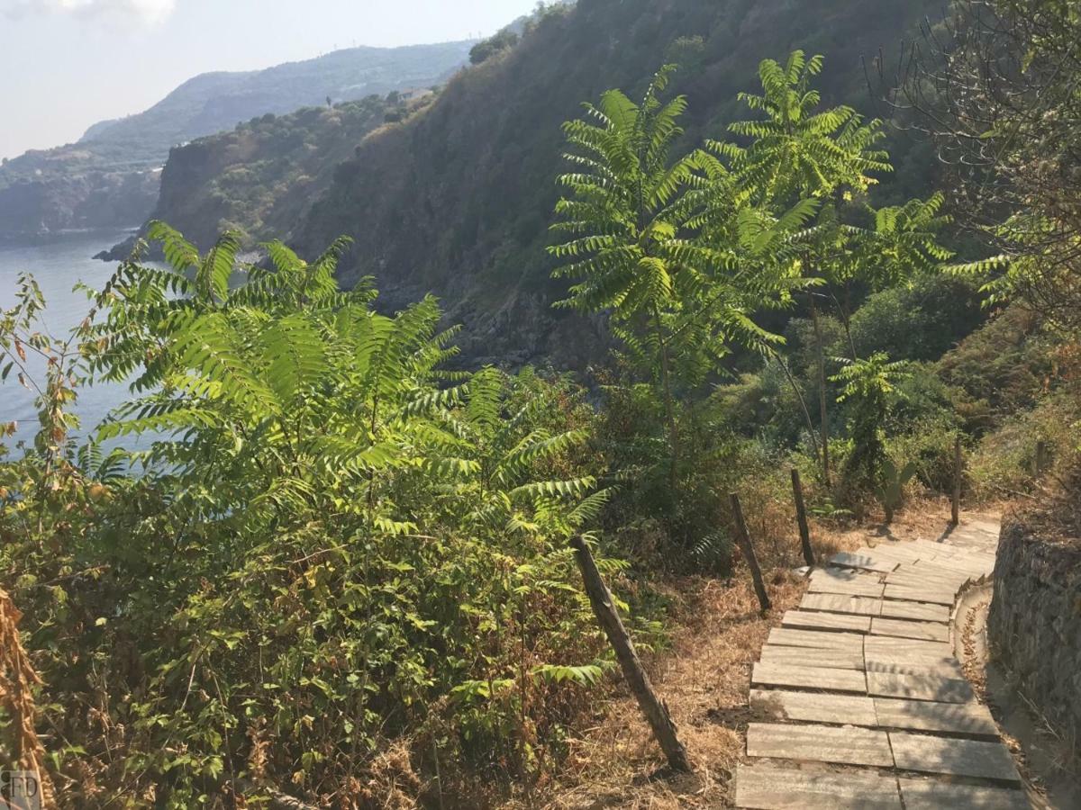 Casa Paradiso Διαμέρισμα Palmi Εξωτερικό φωτογραφία